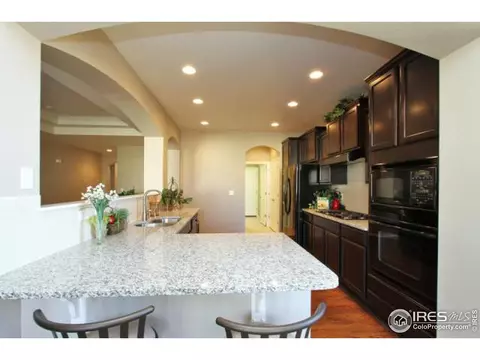 6320 Huntly Rd, Timnath, CO 80547 photo 9