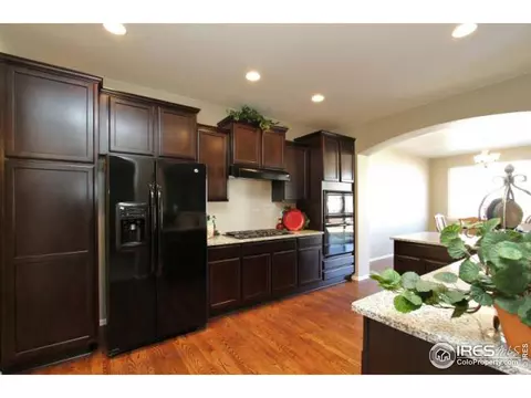 6320 Huntly Rd, Timnath, CO 80547 photo 13