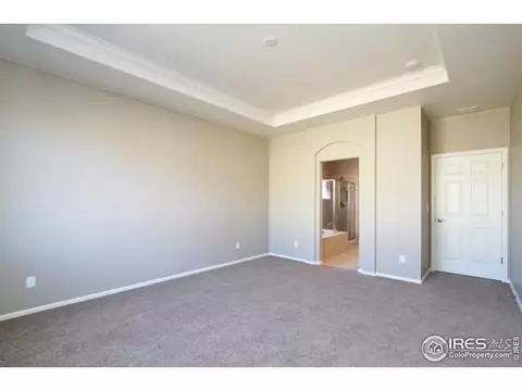 6320 Huntly Rd, Timnath, CO 80547 photo 16