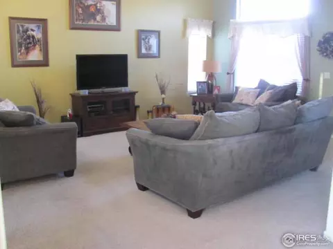 111 Whitney Ct, Windsor, CO 80550 photo 4
