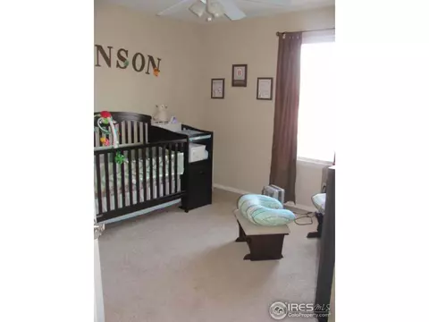 111 Whitney Ct, Windsor, CO 80550 photo 6