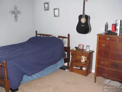 111 Whitney Ct, Windsor, CO 80550 photo 7