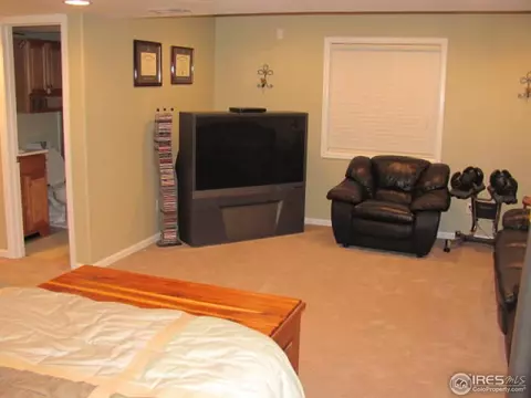 111 Whitney Ct, Windsor, CO 80550 photo 8