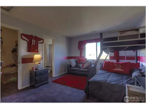 9351 E 145th Ave, Brighton, CO 80602 photo 20