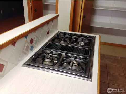 509 3rd St, Windsor, CO 80550 photo 6