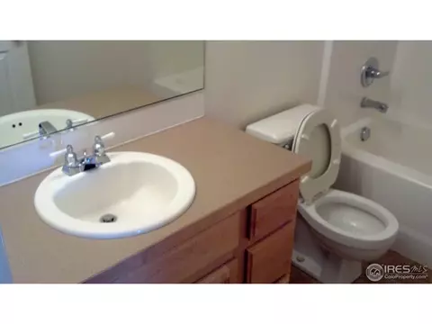 101 Seventh St, Mead, CO 80542 photo 16