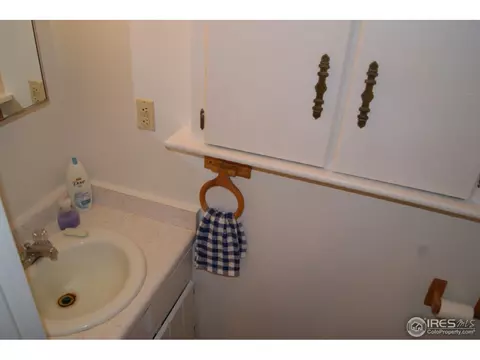 313 Karen St, Wiggins, CO 80654 photo 22