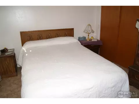 313 Karen St, Wiggins, CO 80654 photo 13