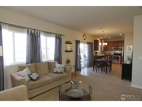 3585 E 140th Pl, Thornton, CO 80602 photo 25