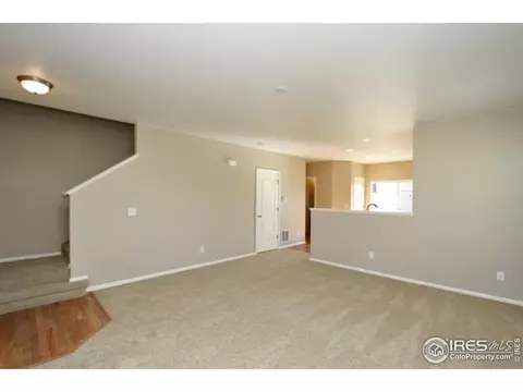 1575 Basildon Ct, Windsor, CO 80550 photo 4