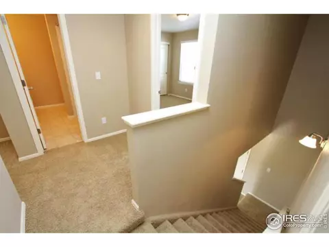 1575 Basildon Ct, Windsor, CO 80550 photo 11