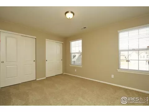 1575 Basildon Ct, Windsor, CO 80550 photo 17