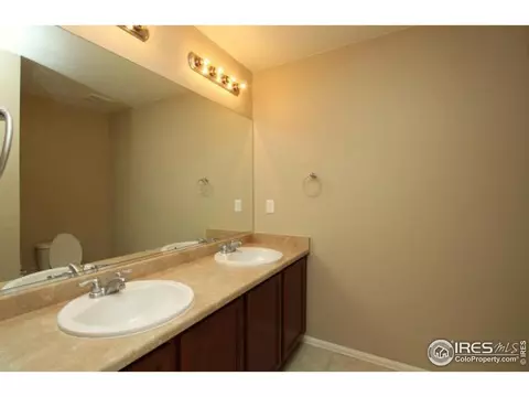 1575 Basildon Ct, Windsor, CO 80550 photo 20