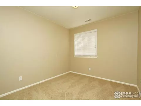 1575 Basildon Ct, Windsor, CO 80550 photo 21