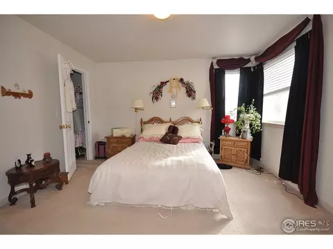 1102 Glacier Ct, Windsor, CO 80550 photo 14