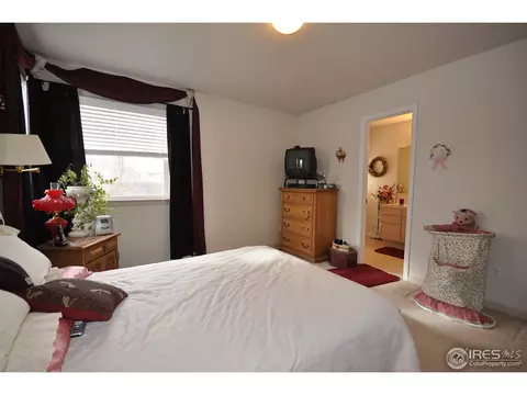 1102 Glacier Ct, Windsor, CO 80550 photo 15