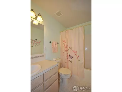 1102 Glacier Ct, Windsor, CO 80550 photo 12