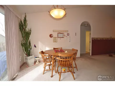 1102 Glacier Ct, Windsor, CO 80550 photo 8