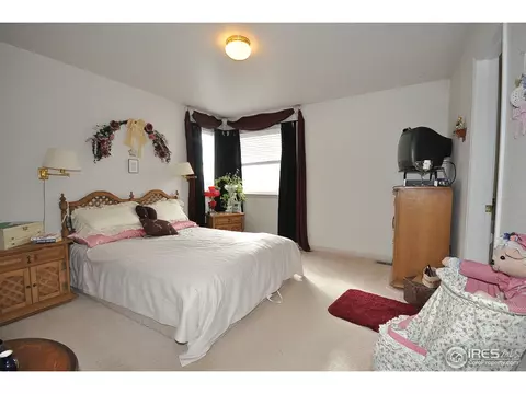 1102 Glacier Ct, Windsor, CO 80550 photo 13