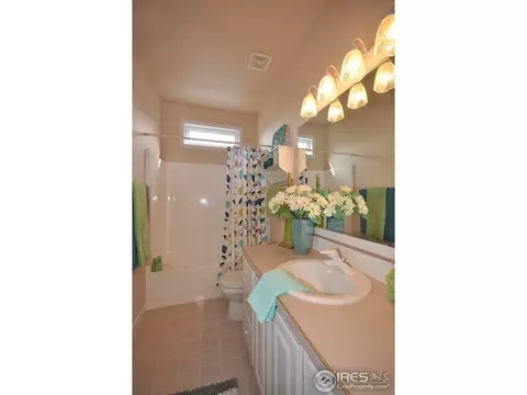229 Cattail Bay, Windsor, CO 80550 photo 19