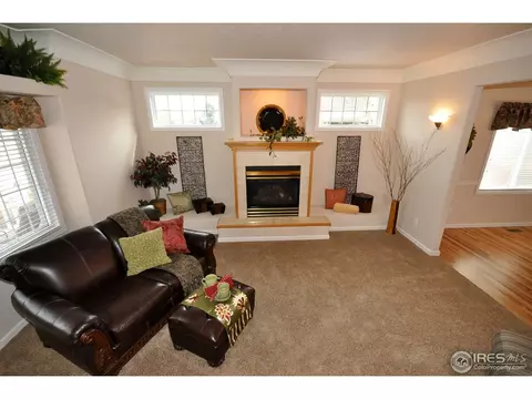 229 Cattail Bay, Windsor, CO 80550 photo 6