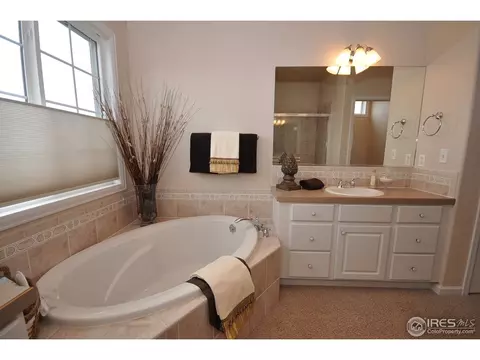 229 Cattail Bay, Windsor, CO 80550 photo 18