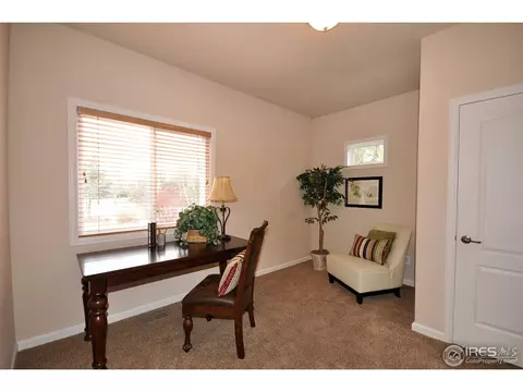 229 Cattail Bay, Windsor, CO 80550 photo 11