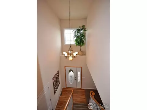 229 Cattail Bay, Windsor, CO 80550 photo 10