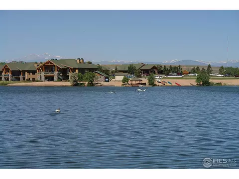229 Cattail Bay, Windsor, CO 80550 photo 24