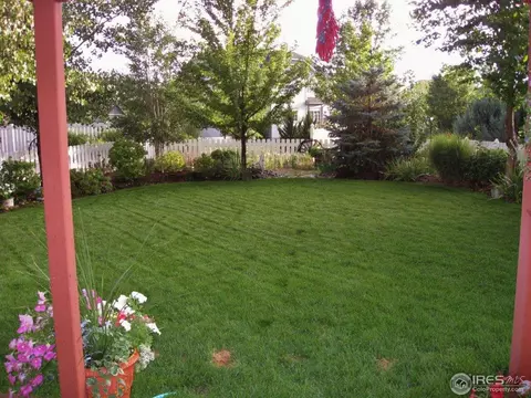 229 Cattail Bay, Windsor, CO 80550 photo 23