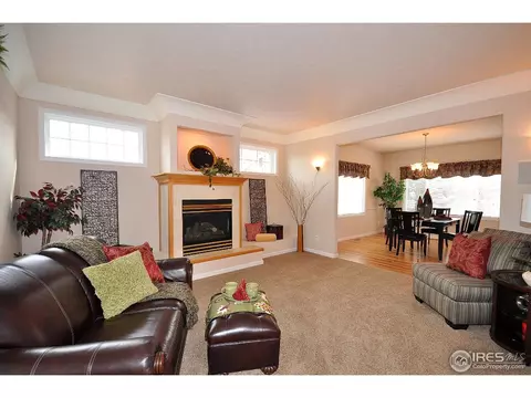 229 Cattail Bay, Windsor, CO 80550 photo 5