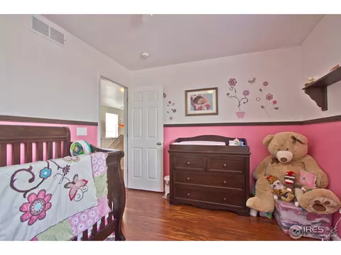 11352 Deerfield Dr, Firestone, CO 80504 photo 18