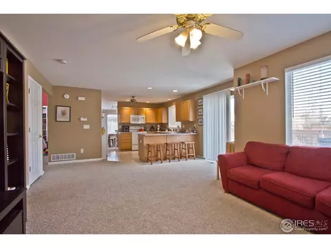 11352 Deerfield Dr, Firestone, CO 80504 photo 10