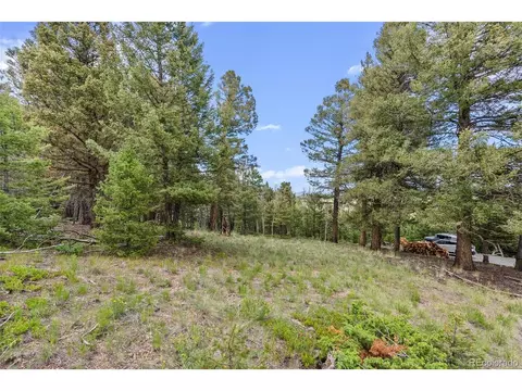 626 Stacker Dr, Hartsel, CO 80449 photo 43
