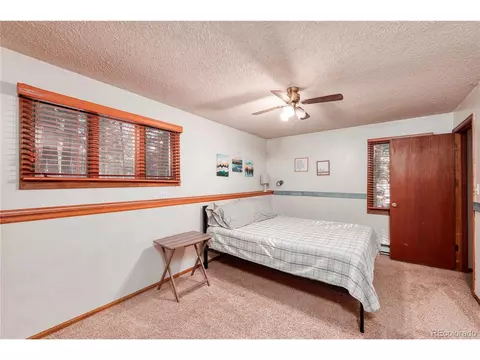 51 Aspen Cir, Divide, CO 80814 photo 21