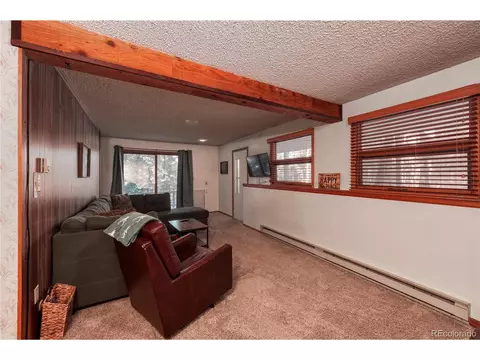 51 Aspen Cir, Divide, CO 80814 photo 18