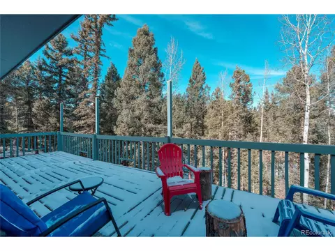51 Aspen Cir, Divide, CO 80814 photo 35