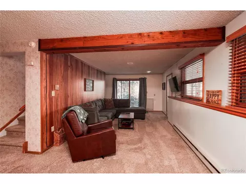 51 Aspen Cir, Divide, CO 80814 photo 20