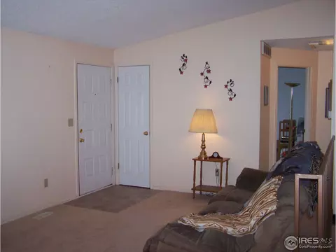 4376 E 119th Way, Thornton, CO 80233 photo 13