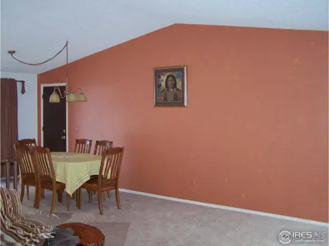 4376 E 119th Way, Thornton, CO 80233 photo 12