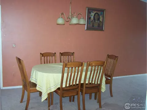 4376 E 119th Way, Thornton, CO 80233 photo 11