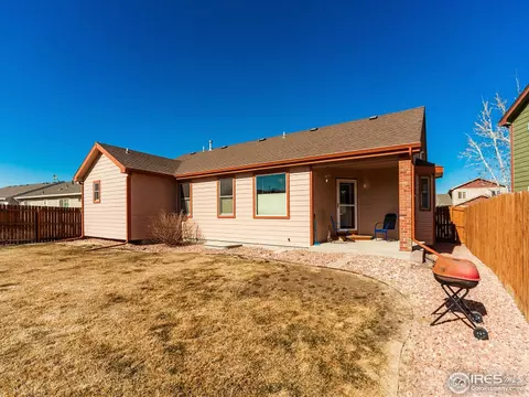 313 Amber Dr, Windsor, CO 80550 photo 24