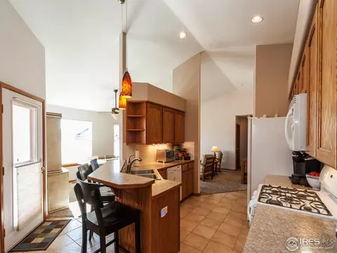 313 Amber Dr, Windsor, CO 80550 photo 11