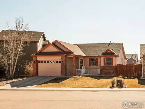 313 Amber Dr, Windsor, CO 80550 photo 1