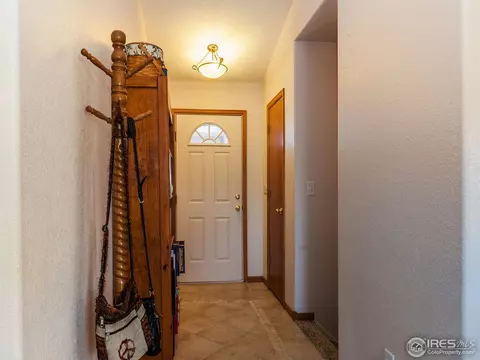 313 Amber Dr, Windsor, CO 80550 photo 4