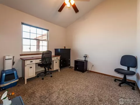 313 Amber Dr, Windsor, CO 80550 photo 22