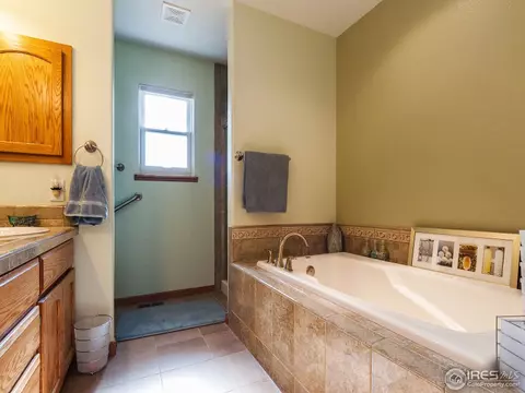 313 Amber Dr, Windsor, CO 80550 photo 18