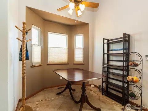 313 Amber Dr, Windsor, CO 80550 photo 14