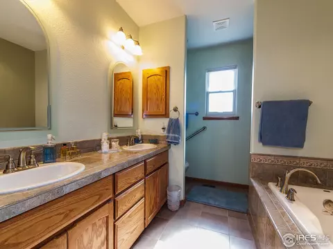 313 Amber Dr, Windsor, CO 80550 photo 17