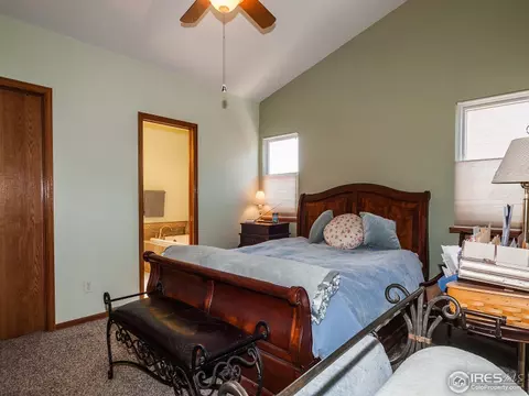 313 Amber Dr, Windsor, CO 80550 photo 16